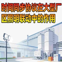 时间同步协议 大型厂区 照明联动 1588 2026 微秒同步