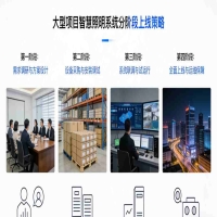 大型项目智慧照明分阶段上线策略_2026照明改造方案