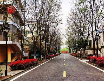 营区道路太阳能路灯